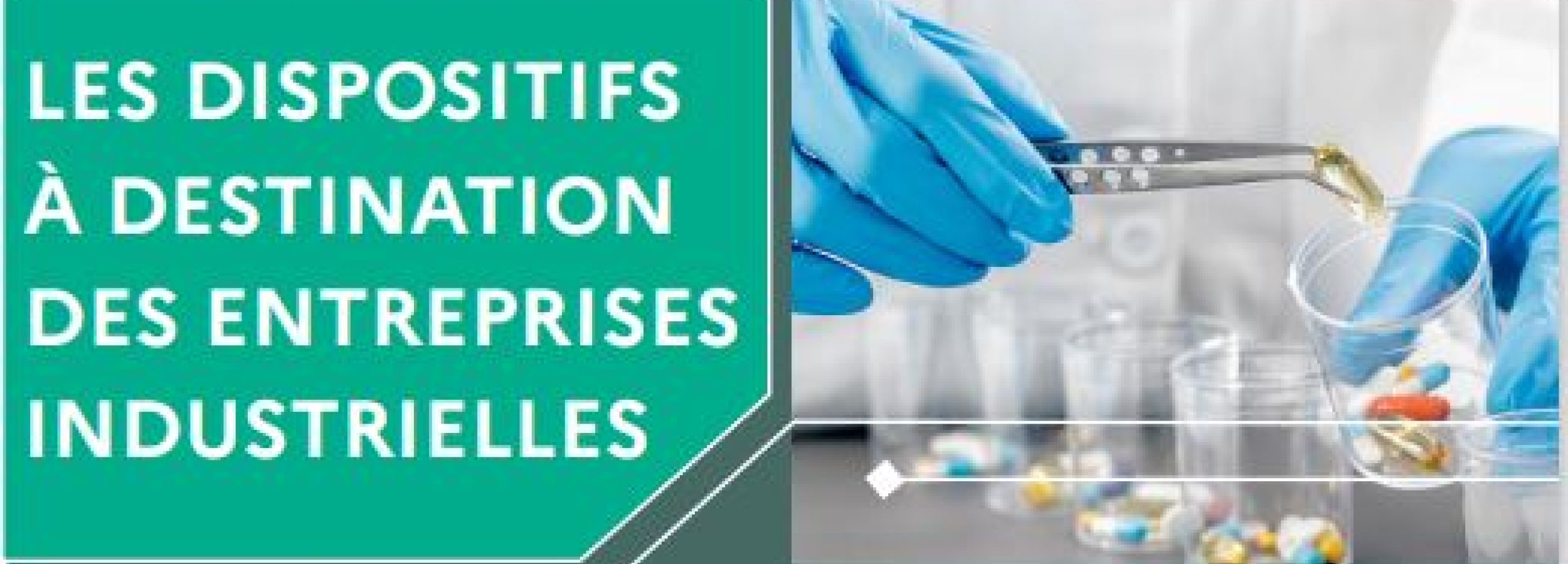 Guide des aides et accompagnements mobilisables par les entreprises industrielles pour la relance