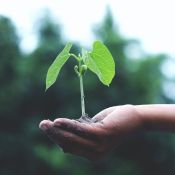 Formation RSE & Développement Durable