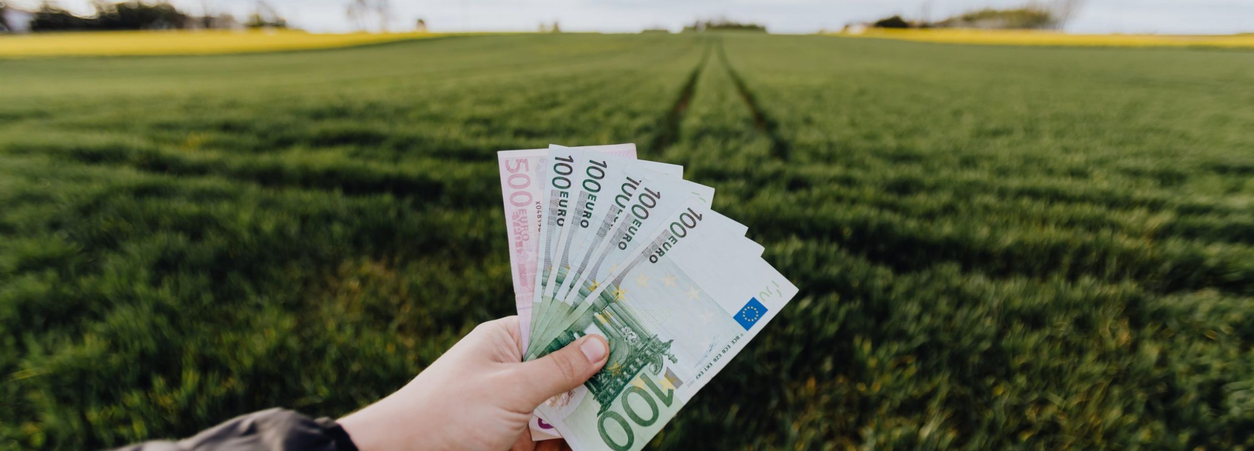 Photo de Karolina Grabowska provenant de Pexels