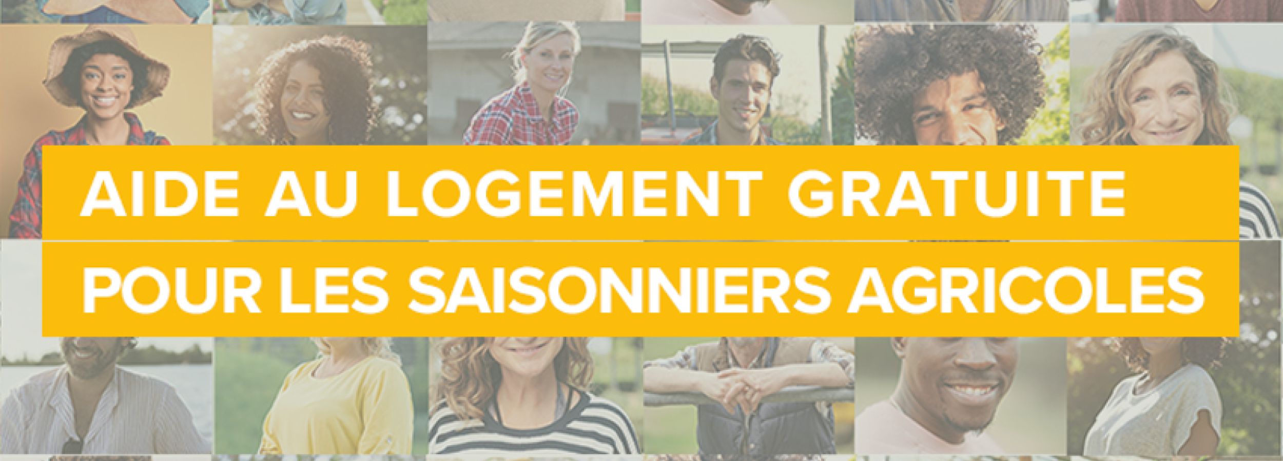Une aide gratuite pour les saisonniers agricoles